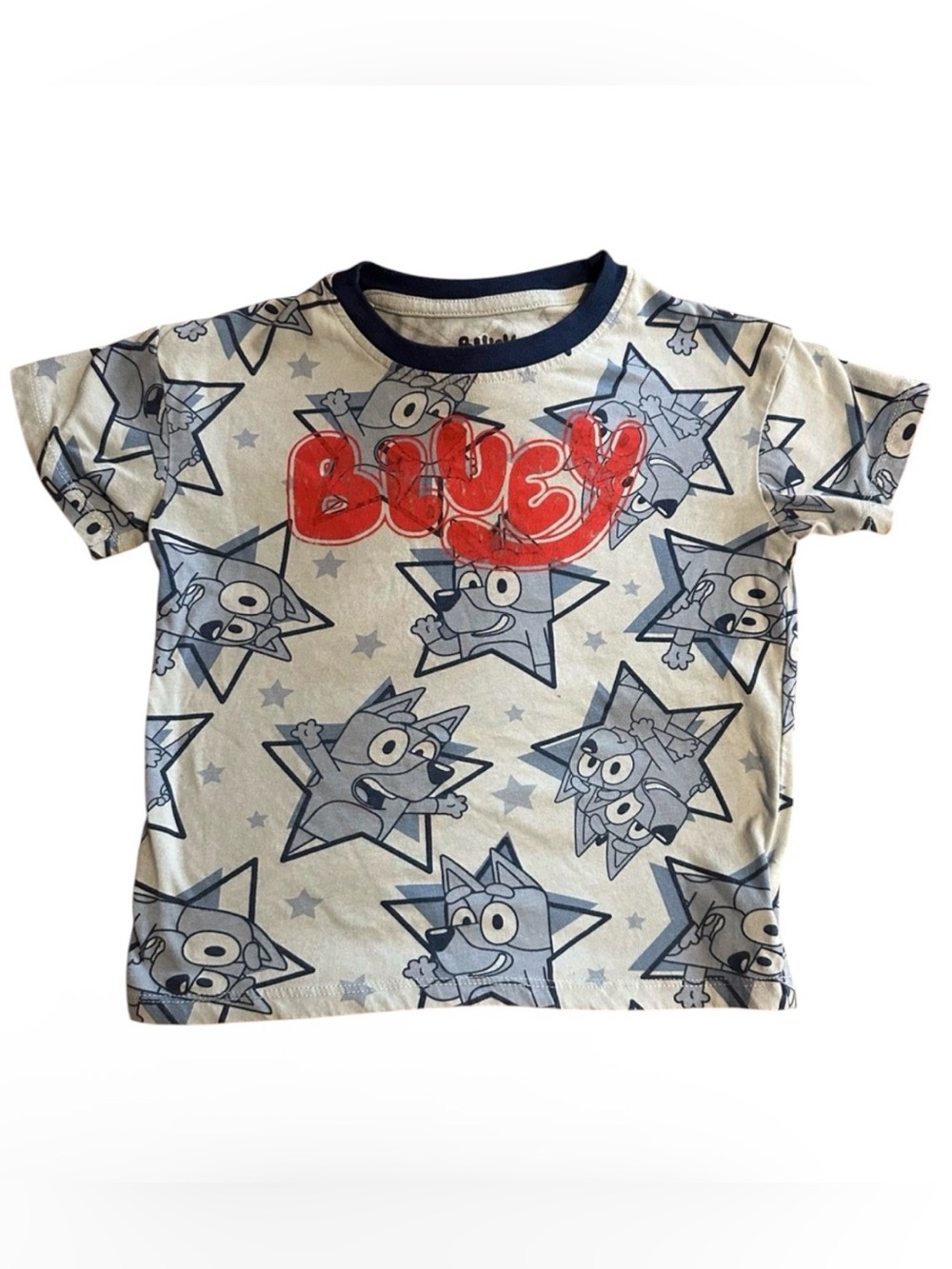 Bluey Graphic T-Shirt